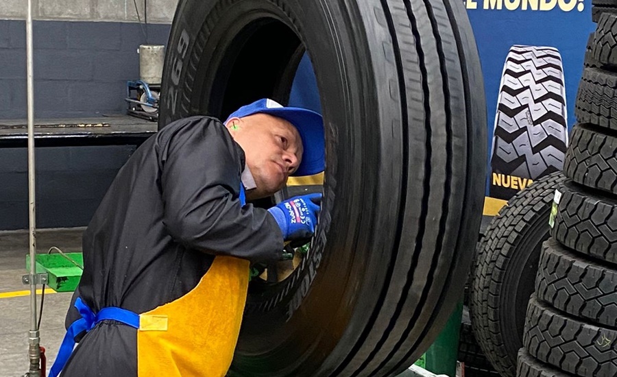 inspeccion